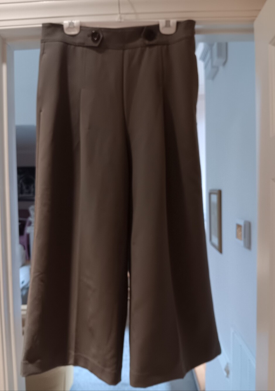 Wide Leg Crop Pants in Olive